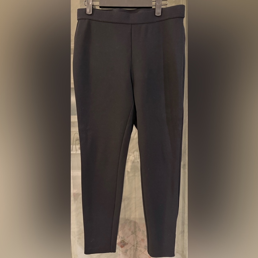 Talbots Skinny Pants